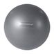 М'яч для пілатесу Balanced Body Inflatable Ball, 20-25 см (темно-сірий), BB-10250-SG BB-10250-SG фото 1
