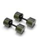 Dumbbells set NUO Nuobell Green, 2-32 kg, NO-NB232GREBLA