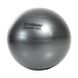 Gymnastic ball TOGU Powerball ABS, 75 cm, TG-406755-AT (anthracite)
