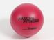 М'яч масажний TOGU Fascial Fitness Ball S, 6.5 см (рубіновий), TG-510310-RR TG-510310-RR фото 1