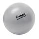 Мяч гимнастический TOGU Powerball ABS, 55 см, TG-406551-SL (серебристый) TG-40655X-XX фото 1