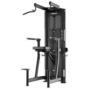 Гравітрон Precor Resolute Dip-Chin Assist, PR-RMS0320-BP/BK (чорний/чорний) PR-RMS0320-BP/BK фото