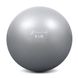 Мяч тонизирующий ProsourceFit Toning Ball, 2.72 кг (серебристый), PS-2222-6-SL PS-2222-6-SL фото 1